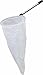 Student Insect Net