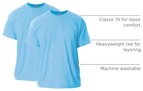 Image of Gildan Adult Ultra Cotton T-Shirt, Style G2000, Multipack