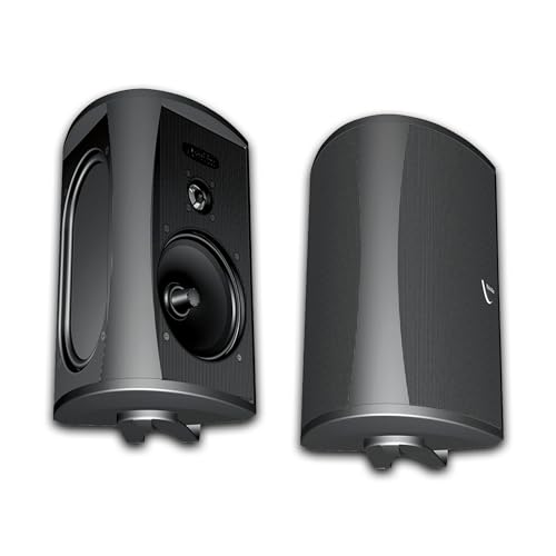 Definitive Technology AW5500 Outdoor Speakers | 2 Speakers | 5.25-inch Woofer, 175 Watts | High Performance, Built for Extreme Weather | 1 Pair, Black