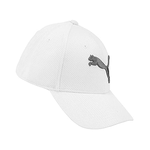 PUMA Men's Stretch Fit Cap