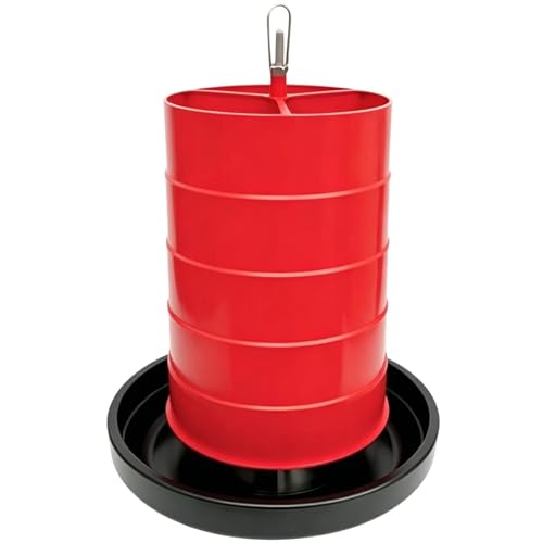 Distributeur d'eau pour poulailler idéal pour les canards au jardin