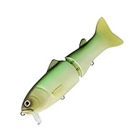 Amazon | デプス NEWサイレントキラー 145 チャートオイカワ | deps