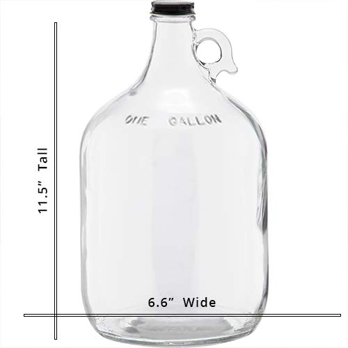C-Store Packaging - 1 Gallon (128 oz) Clear Glass Jug With 38mm Cap | FAST SAME DAY SHIPPING