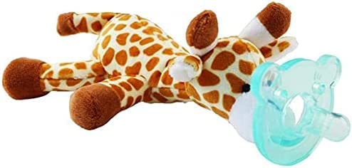 VR[ԂԂ̓̂Ԃ̃X[W[ԂƃoCOz_[-_X^Ĉ̂ᐻivtFbVivZX