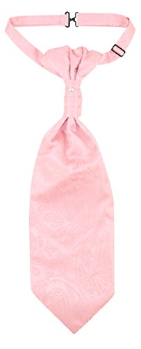 Image of Vesuvio Napoli PreTied ASCOT Solid PAISLEY Color Cravat Men's Neck Tie 21 Colors