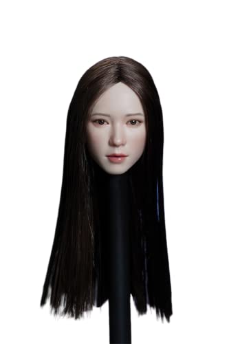 Tête sculptée 1/6 asiatique peau sun tanned AMITD cheveux marrons