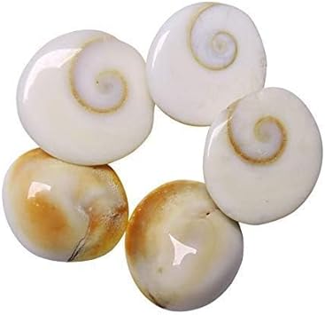 Natural Gomati Chakra from Gomti River Standard, Off White - Set of 25 Piece Original Gomti Chakra Gomati for Lakshmi Pooja, Health Wealth, Protection, Prosperity and Success Astrology