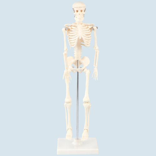 A[ebN l̍i͌^ P[X 9779 42cm 4g