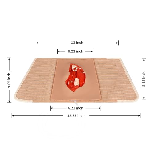 Modèle d'éducation médicale pour fracture ouverte et pansement d'urgence