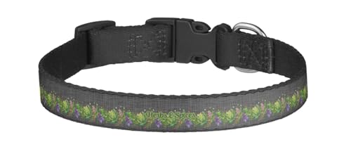 RNK Shops Personalized Herbs & Spices Dog Collar - Large