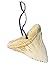 U.S. Toy Shark Tooth Necklaces, 2-Pack of 12