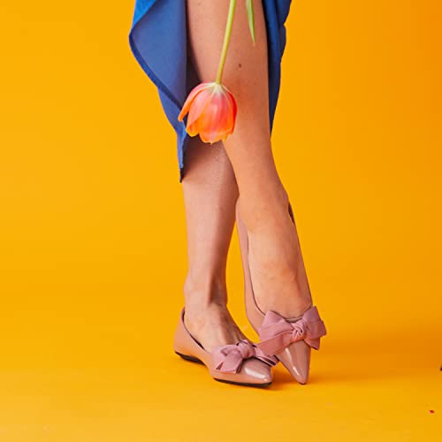 C.paravano Flat Shoes Women I Pointed Toe Shoes For Women I Women Pumps I Tweed Shoes Women I Pointed Toe Flats I Slip On Shoes Ballet Flats (Size 39,Pink Flat) #TOP4