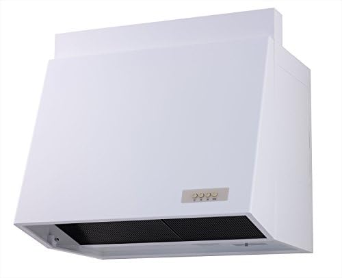 渡辺製作所 プロペラ換気扇タイプ [WAP-60AW]