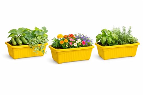 Image of Bianco Rectangular Plastic Pots for Plants, Jupiter Flower Pots for Home, Window Display, Garden (35 x 18.5 x 15 cm) (Yellow) (Pack of 3)