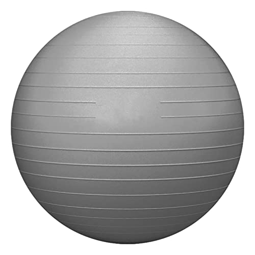 Rithiox Exercise Ball Yoga Ball - Stability Ball Anti-Slip For Pregnancy Birthing, Anti-Burst Workout Ball With Quick Pump, Balance Ball Chair For Office,Home, Gym (Gray, 26In) #TOP2