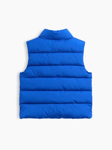 Image of GAP Baby-Boys Puffer Vest