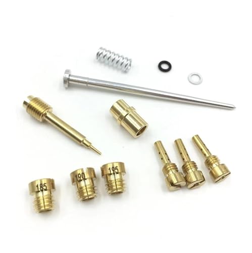 Reparación carburador para Sportster 883 contra fugas de gasolina