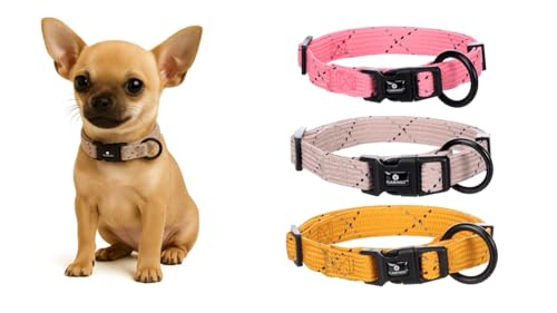Hundehalsband – Puppy Dolly Taupe XXS 15–25cm – verstellbar – reflektierend – Nylon – für Welpen – Flamingo
