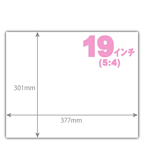 PDAH[ 19C`(5:4) I[_[Jbg ėpTCY NA[˖h~] ی tB ˒ጸ hw { (tBTCY c:301mm×:377mmETCY)