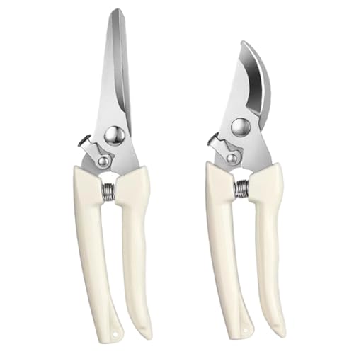 How to cancel everyone active membership