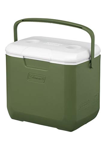 釣り用 小型クーラーボックス人気ランキング 軽量 持ち運び便利 モノスポ