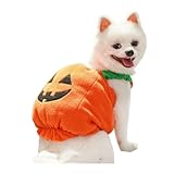 COTEN ハロウィン 犬 犬服 かぼちゃ 仮装 コスチューム コスプレ パンプキン ペット 変装 着ぐるみ ドッグウェア 小型犬 中型犬 (M)