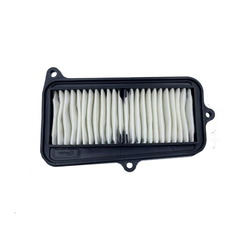 Filtre à air de moteur de moto pour GV 250 GV250 QM250-6
