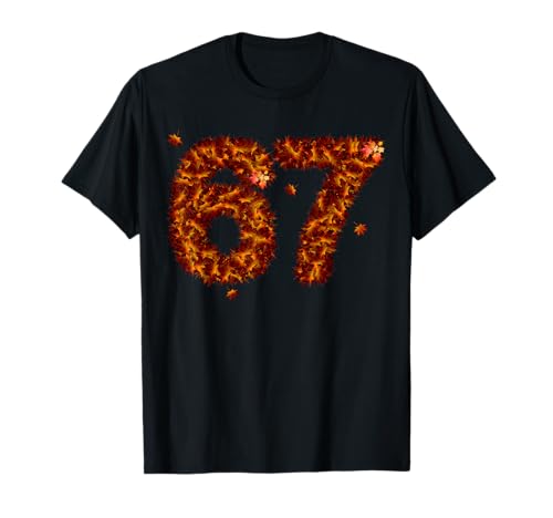 67 Meme Thanksgiving Turkey Day Funny Holiday Six Seven T-Shirt