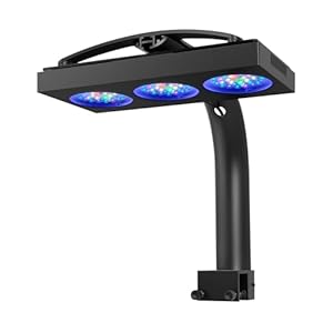 NICREW HyperReef 200 Gen 2 Reef LED Light, 200W Reef Aquarium Lighting for SPS LPS Corals and Saltwater Fish Tanks, Enhanced Violet and Blue Spectrum, Wide Angle Lens, 5 Channels Fully Programmable