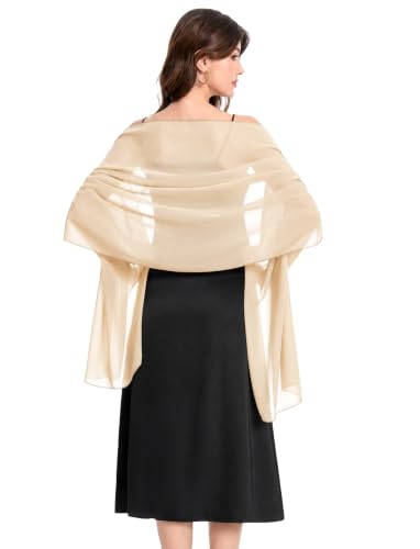 Women's Shawls and Wraps for Evening Dress Chiffon Shawl Soft Elegant Scarf