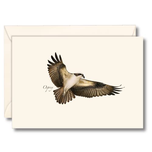 Image of Earth Sky + Water - Osprey Notecard Set - 8 Blank Cards with Envelopes