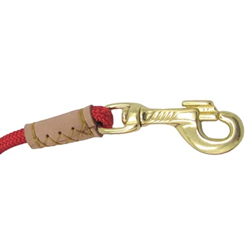 Strengths and Trade-offs of Five Domains Nylon Pet Leash