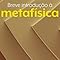 Capa do livro Breve introdução à metafísica
