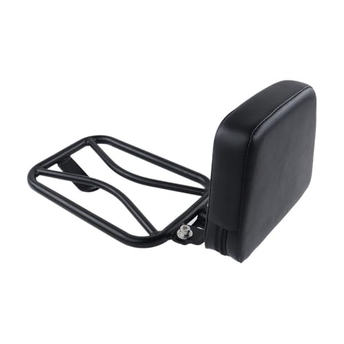 Coussin de dossier moto custom avec porte-bagages arrière pour EN650 VN S650