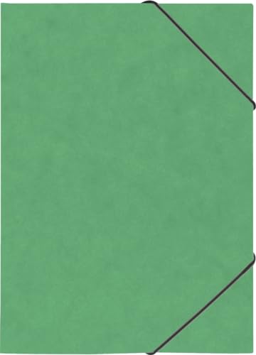 BRUNNEN Ringbuch A4 2R 15mm Gummizug grün