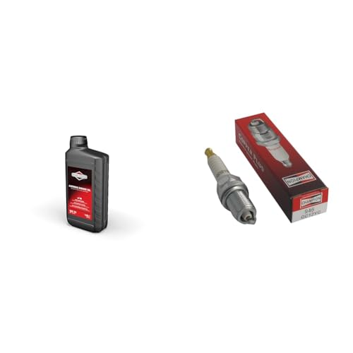 Briggs & Stratton 100007E Huile Moteur SAE 30, 1.0 litre & CHAMPION - Bougie D'Allumage CHAMPION QC12YC - Durable & Fiable - Haute Qualité - Equivalent NGK BKR5ES, NGBKR5ES
