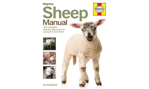 Sheep Manual: The complete step-by-step guide to caring for your flock (Haynes Manuals)