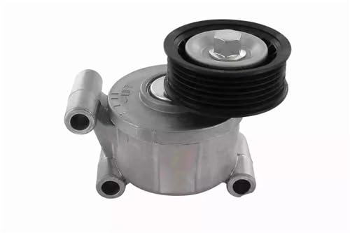 Poulie tendeur Volvo C30 S40 V50 pour supprimer le sifflement moteur