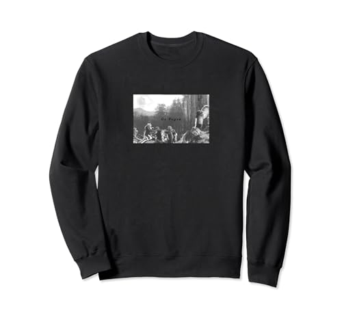 Sweat Star Wars Endor Go Rogue à motifs pop pour fan de la saga