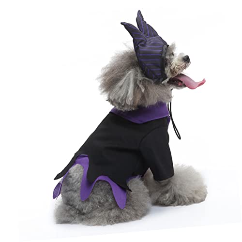Disfraz para perro bruja S 3 piezas POPETPOP Halloween miniatura 6