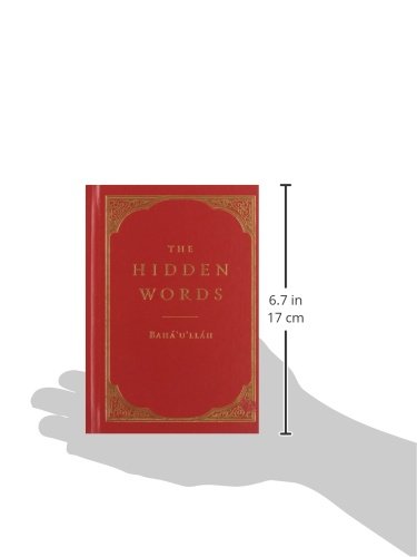 Hidden Words (Hardcover)