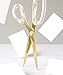 russell+hazel Acrylic Scissors, Left or Right Hand All-Purpose Scissors, Clear and Gold-Toned Comfort-Grip Scissors, 9” (26002)