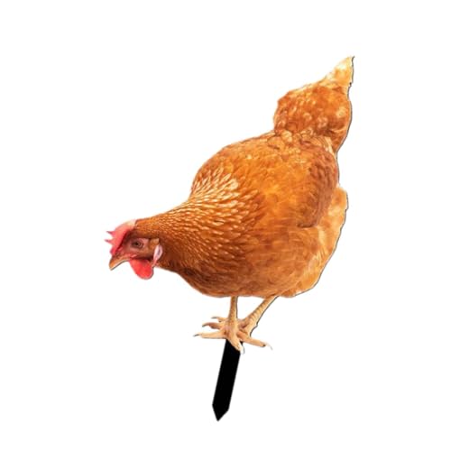 Poule statue cour extérieure acrylique de 27cm décor jardin - 8