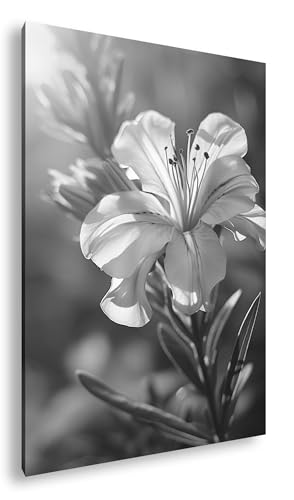 Tableau lys noir et blanc 120x80 cm sur cadre bois pour salon paisible