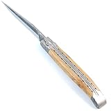 LAGUIOLE EN AUBRAC L