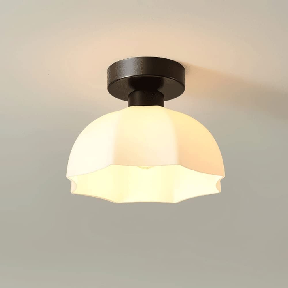 Lámpara de techo cerámica salón comedor moderna con pantalla acrílica WQHPLMD 8
