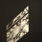 Two Shadows One Light