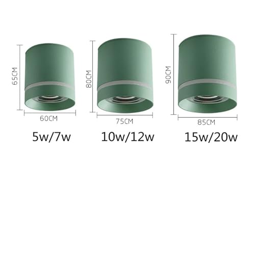 Foco empotrable LED cilíndrico de techo gris 10W regulable para iluminación orientable 3