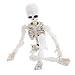Oauxy Realistic Skull Skeleton Human Model, 3.54 Inches Movable Skeleton Human Model Skull Full Body Mini Figure Toy for Halloween Decorations Gifts