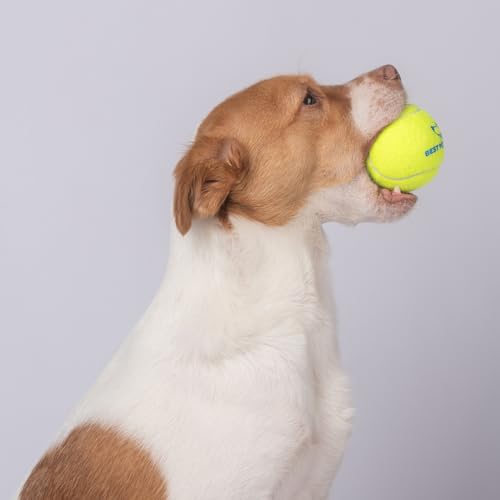 Image of Best Pet Supplies Interactive Squeaky Dog Chew Toy, Ideal Dog Toys for Chewers, Small, Medium & Large Dogs, and Fetch Lovers - Tennis (Yellow), Large (Pack of 4)